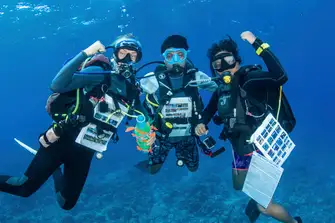Every bit of business we do generates funding for Blue Marine Foundation