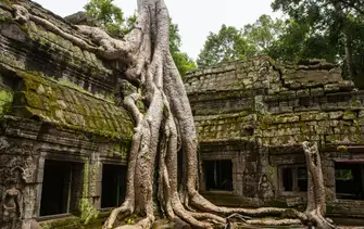 Ta Prohm temple Siem Riep