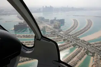 Admire The Palm from a different perspective