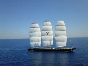 MALTESE FALCON