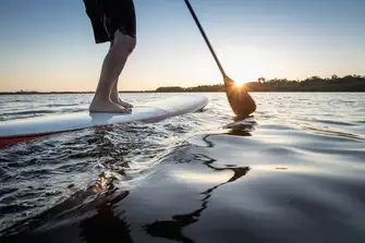 Explore the show by paddleboard