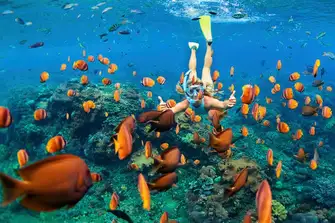 The shallow Tobago Cays are ideal for snorkelling