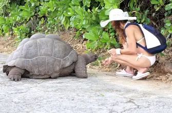 Create lifetime memories and experiences while visiting the Galapagos